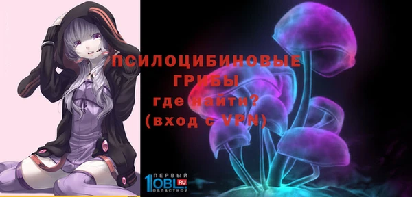 ALPHA-PVP Вяземский