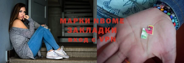 индика Заречный