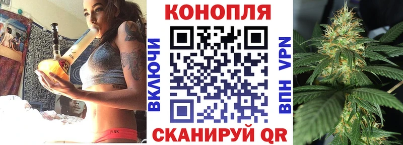 Шишки марихуана план  Жирновск 